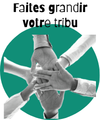 Expérience Collaborateur